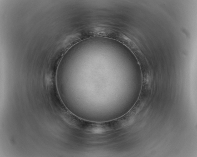 X0000113540663200909181158
