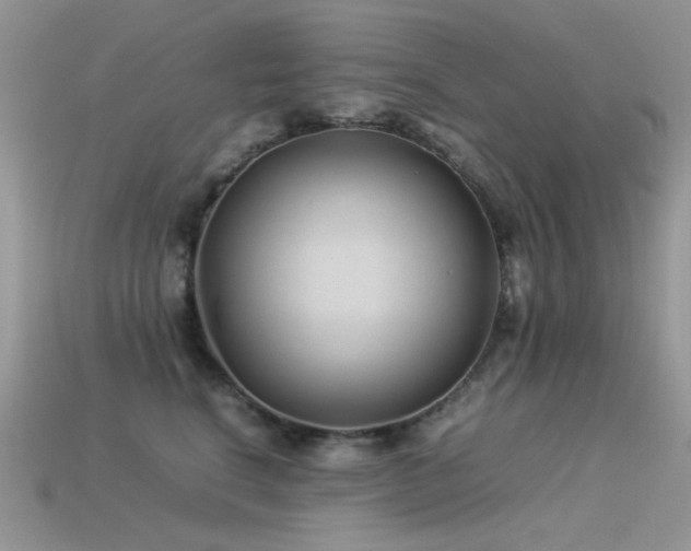 X0000113540664200909181158