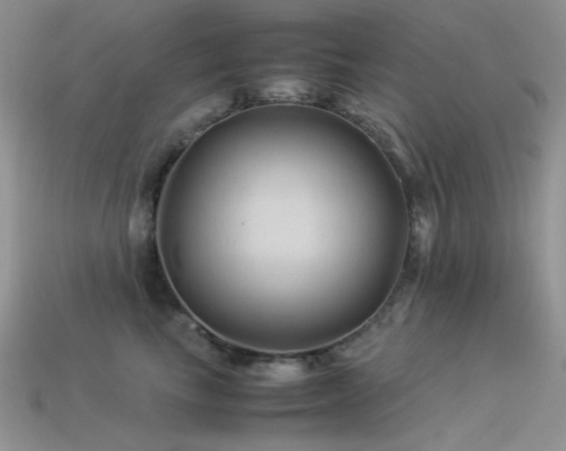X0000113540665200909181158