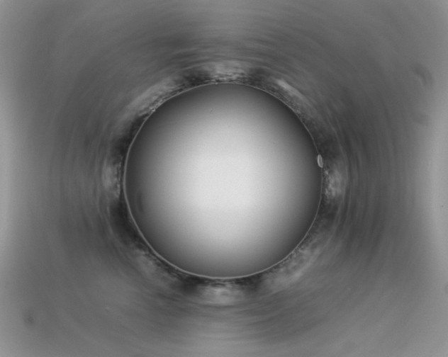 X0000113540666200909181158