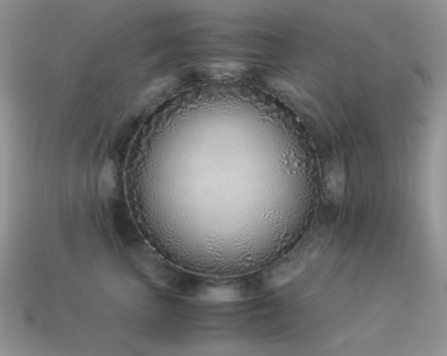 X0000113540667200909181158
