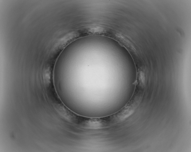 X0000113540668200909181159