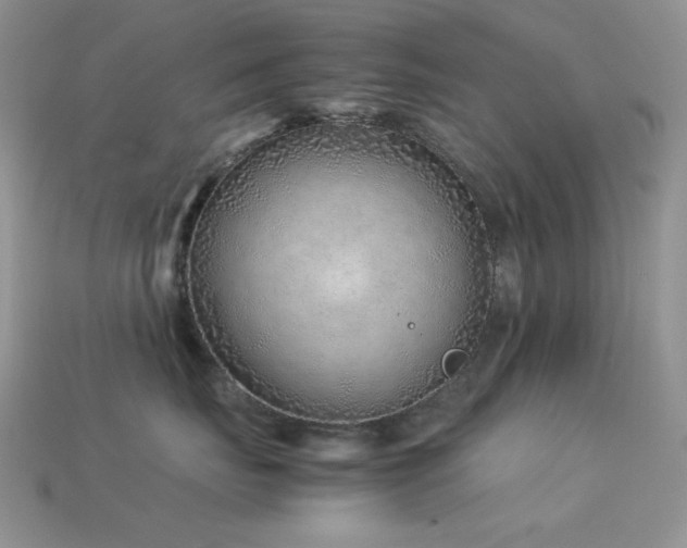 X0000113540671200909181159