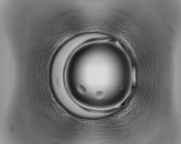 X0000113540673200909181158