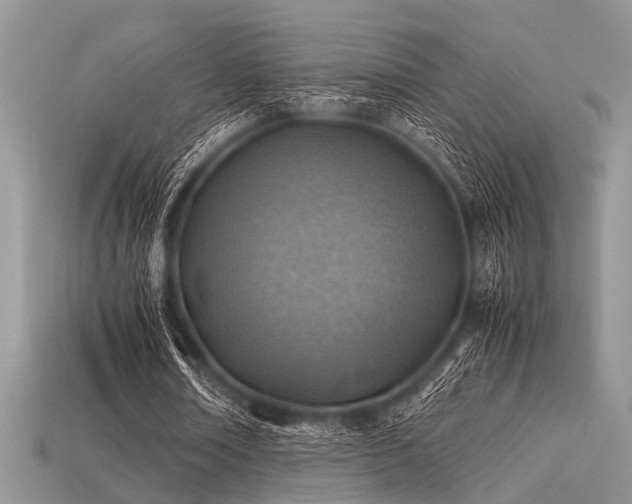 X0000113540674200909181158