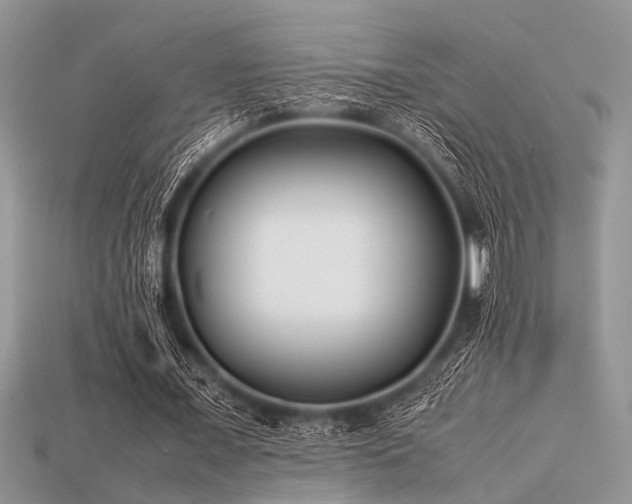 X0000113540675200909181158