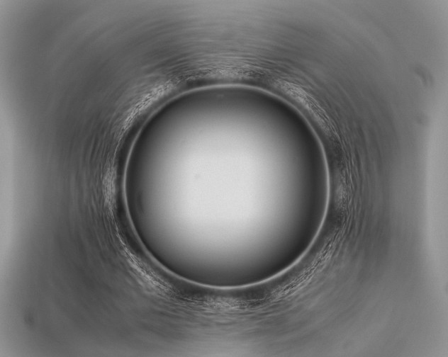 X0000113540677200909181158
