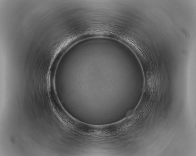 X0000113540678200909181158