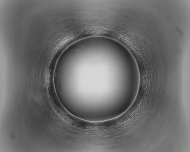 X0000113540679200909181158