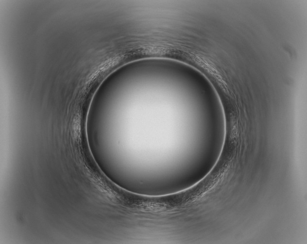 X0000113540681200909181158