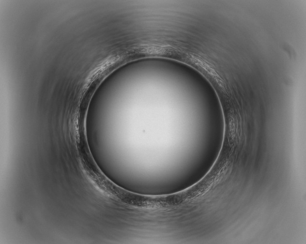 X0000113540682200909181158