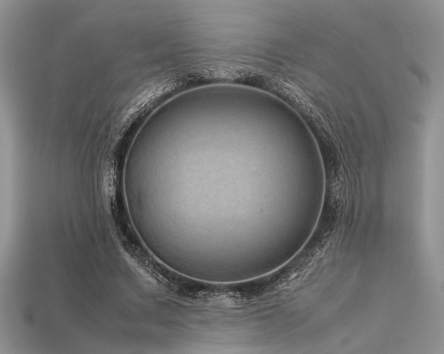 X0000113540683200909181158