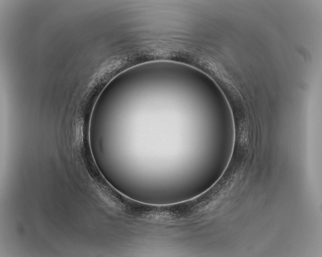 X0000113540685200909181158
