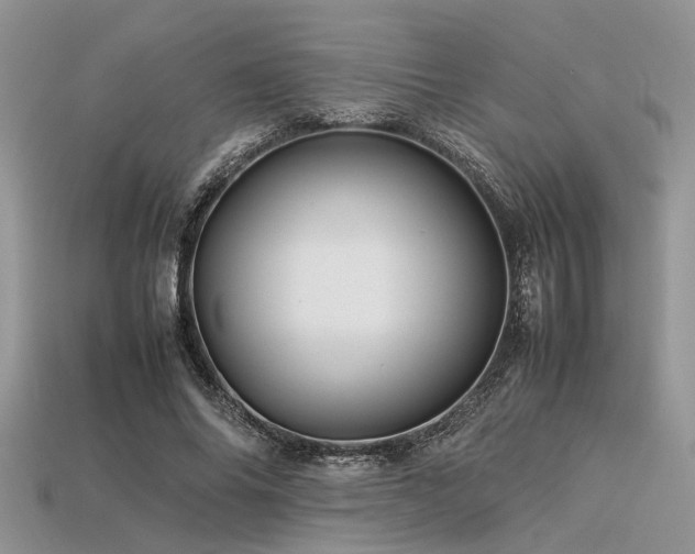 X0000113540686200909181158