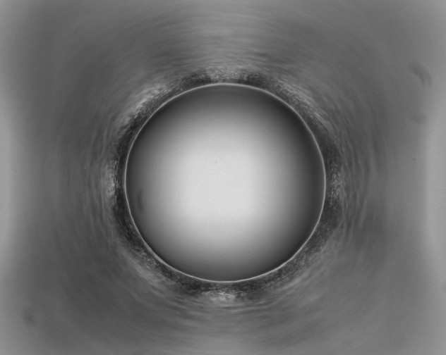 X0000113540687200909181158