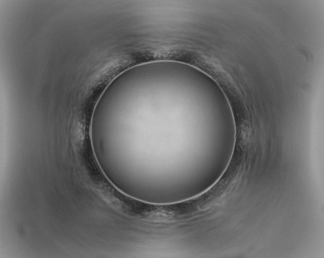 X0000113540691200909181158
