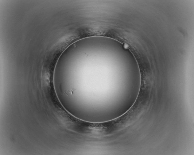 X0000113540693200909181158