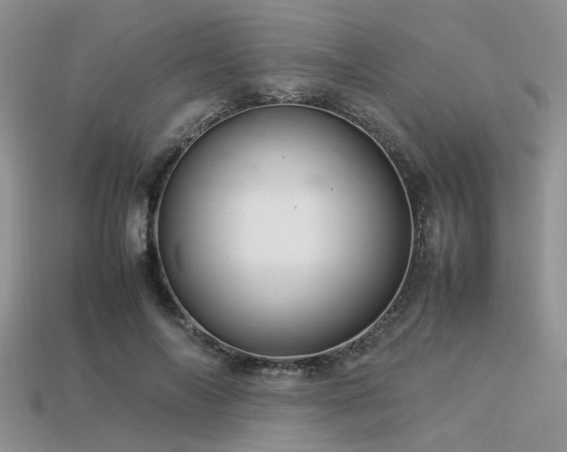 X0000113540694200909181158