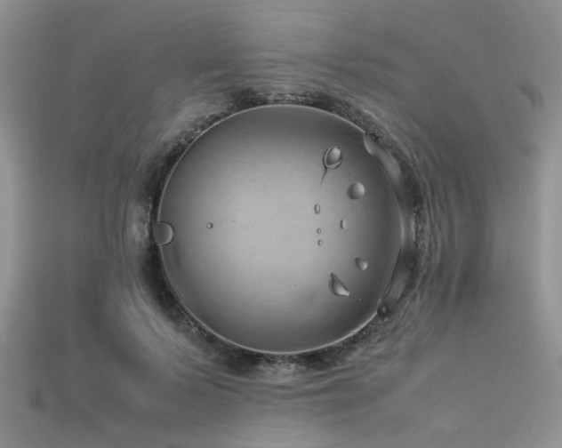 X0000113540695200909181157