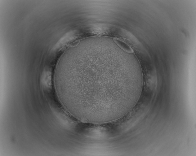 X0000113540696200909181157