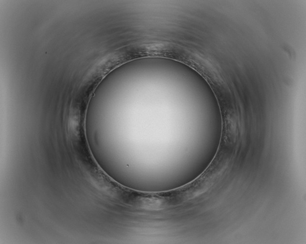 X0000113540698200909181157