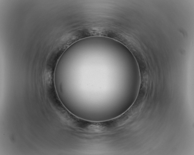X0000113540699200909181157