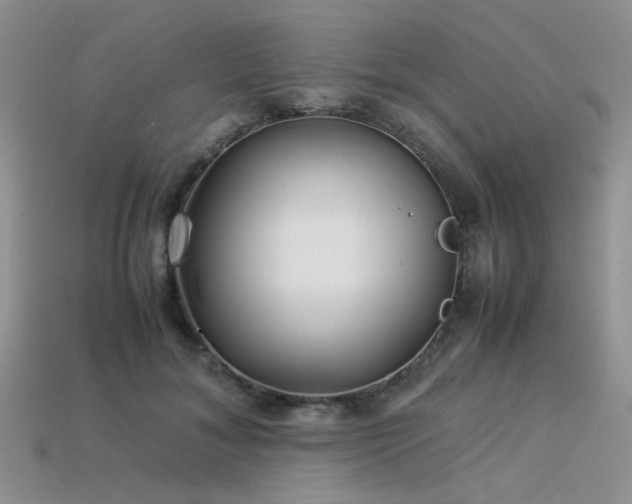 X0000113540700200909181157