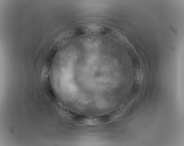 X0000113540701200909181157