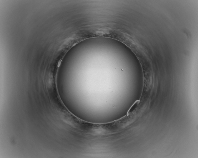 X0000113540704200909181157