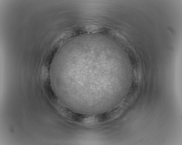 X0000113540705200909181157