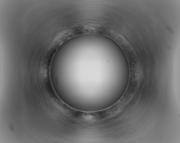 X0000113540706200909181157