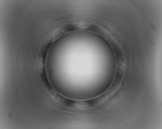 X0000113540707200909181157