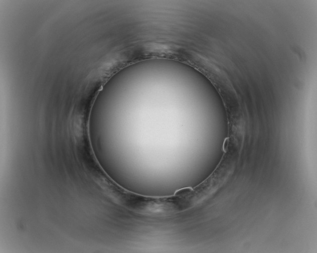 X0000113540708200909181157