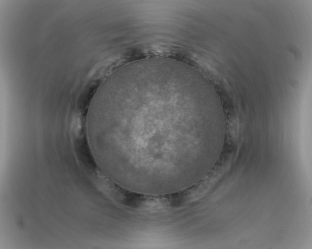 X0000113540709200909181157
