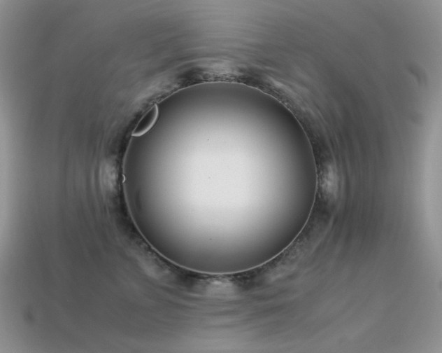 X0000113540715200909181157