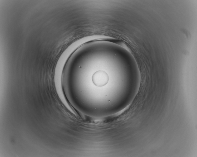 X0000113540720200909181157