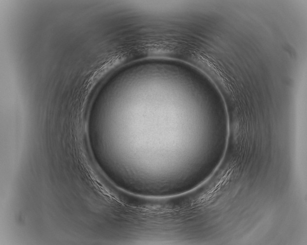 X0000113540721200909181156