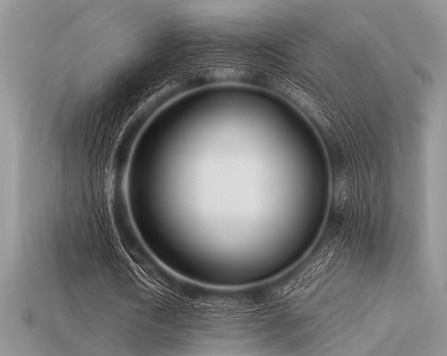 X0000113540722200909181156