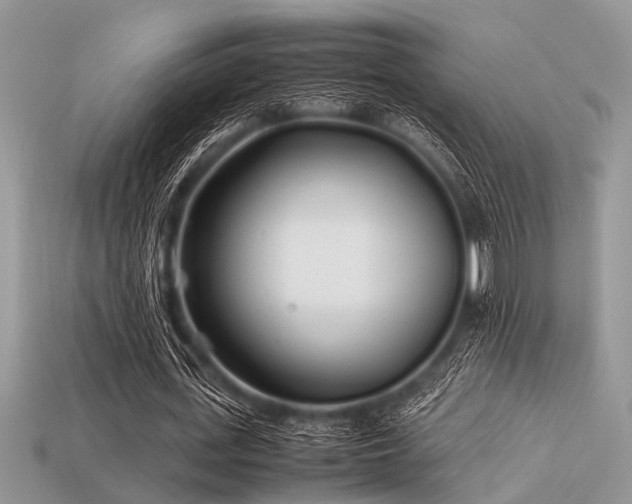 X0000113540723200909181156