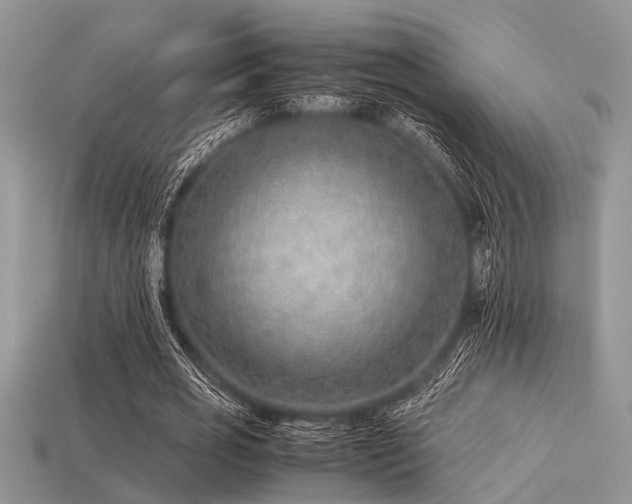 X0000113540725200909181157