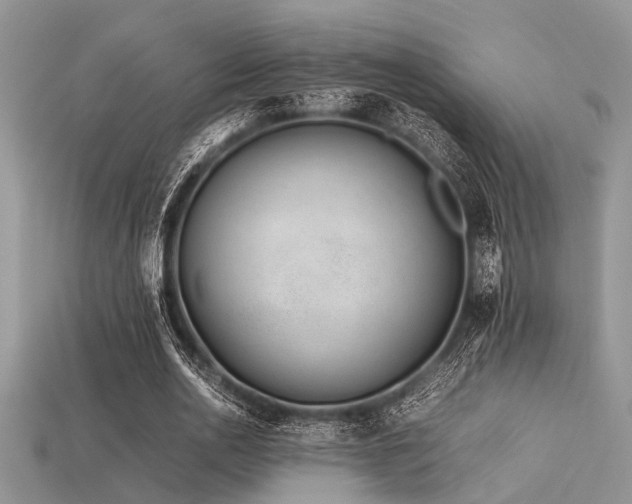 X0000113540726200909181157