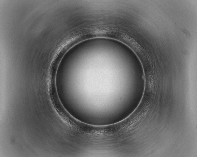 X0000113540728200909181157
