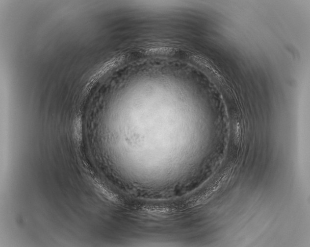 X0000113540729200909181157