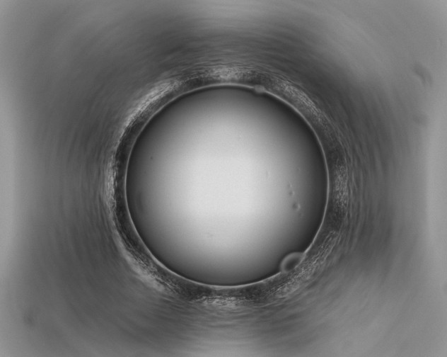 X0000113540730200909181157