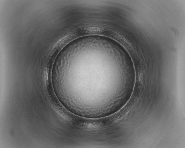 X0000113540733200909181157