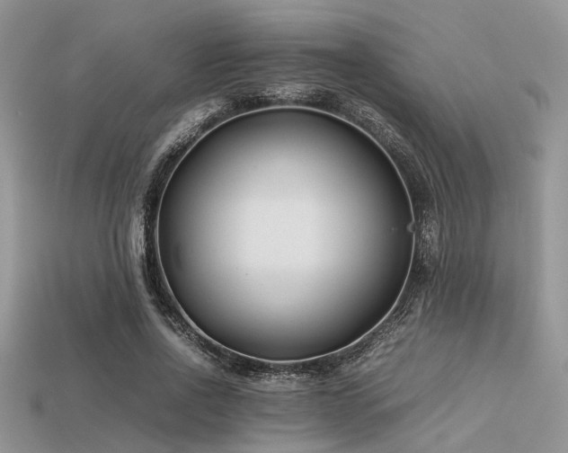 X0000113540734200909181157