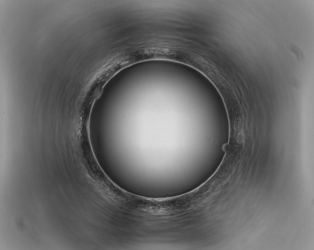 X0000113540735200909181157