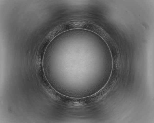 X0000113540737200909181157