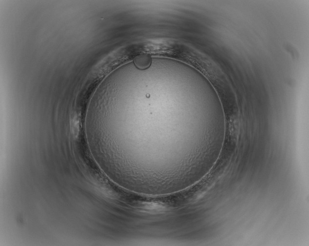 X0000113540741200909181157