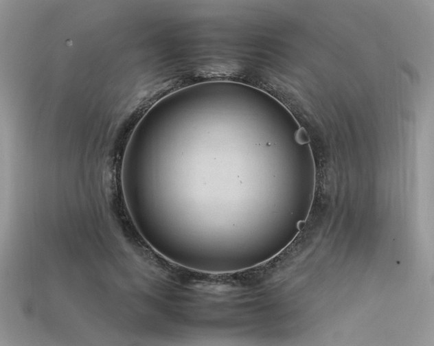 X0000113540743200909181157